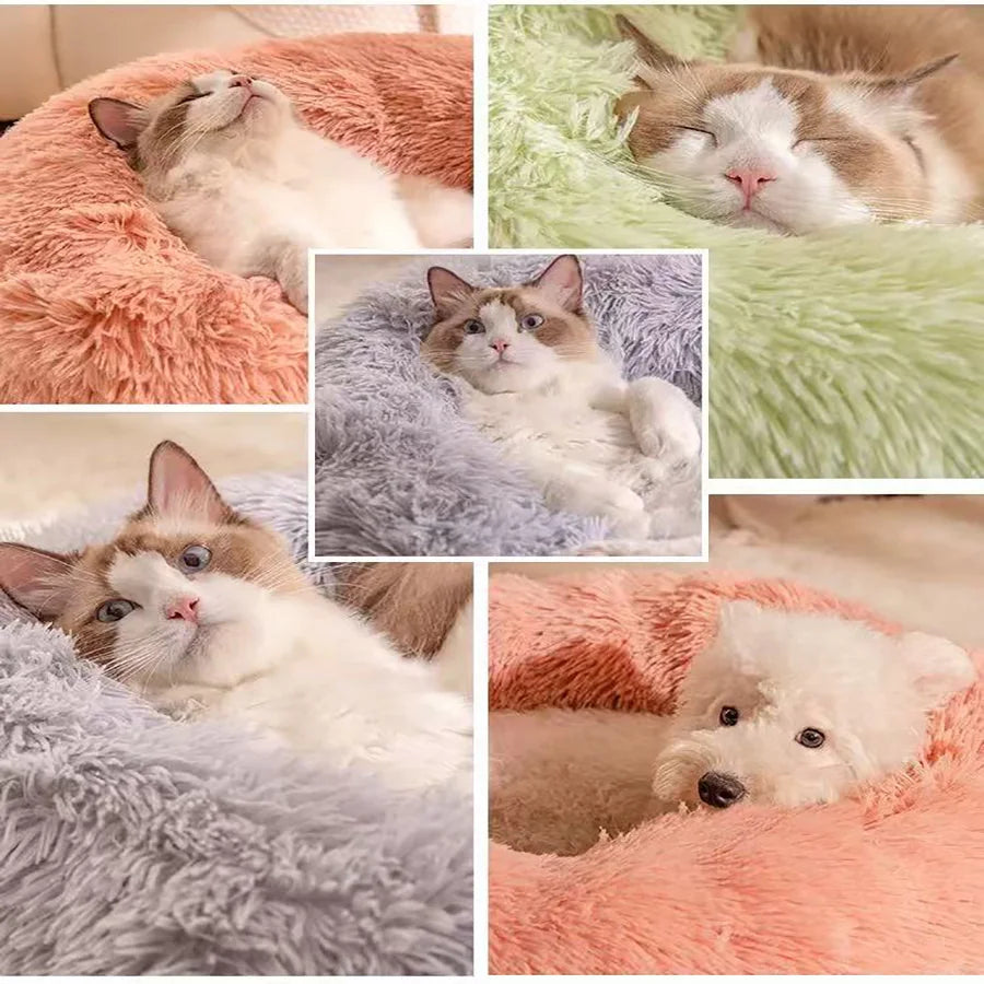 Soft Plush Donut Medium Pet Bed
