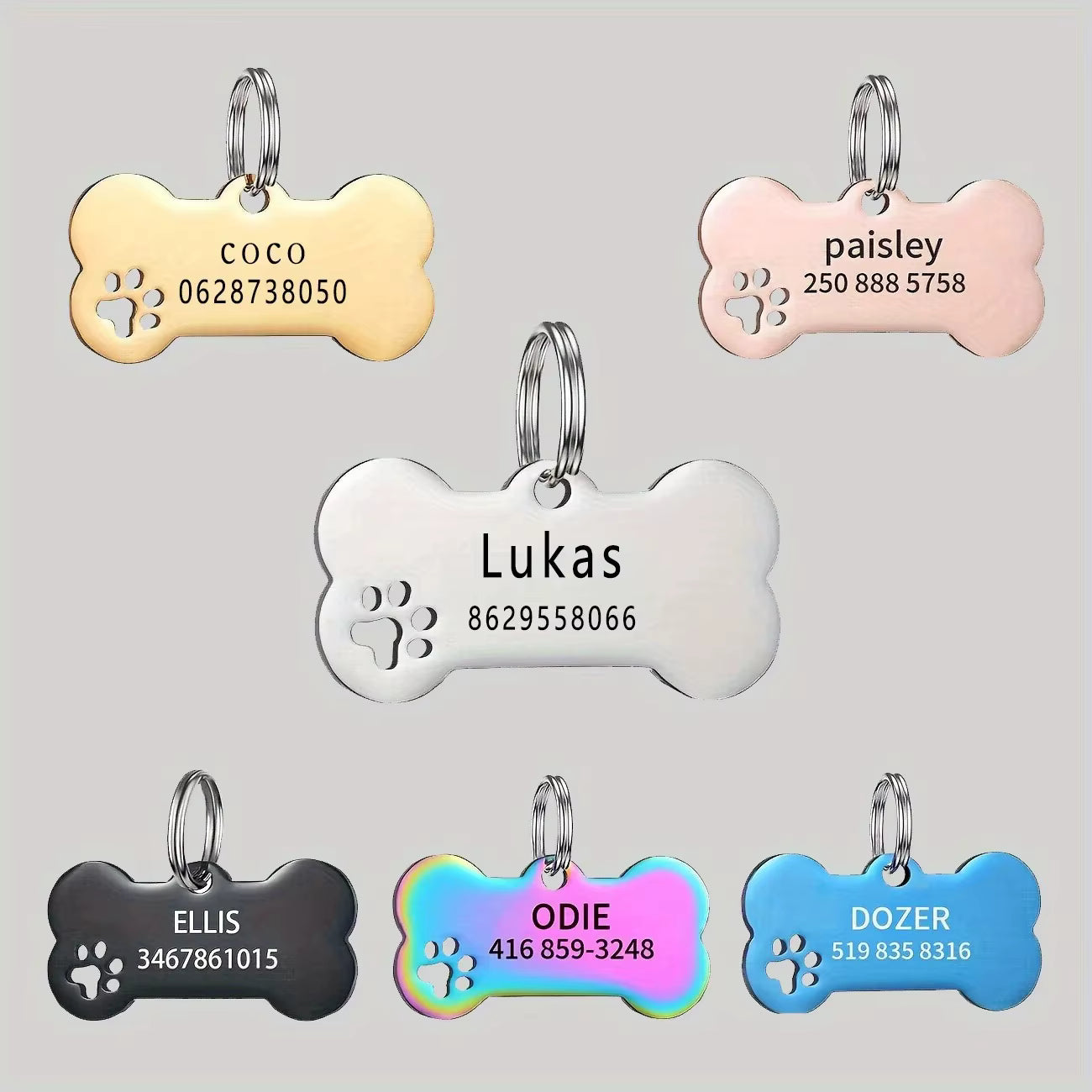 High-Quality Personalized Pet ID Tags