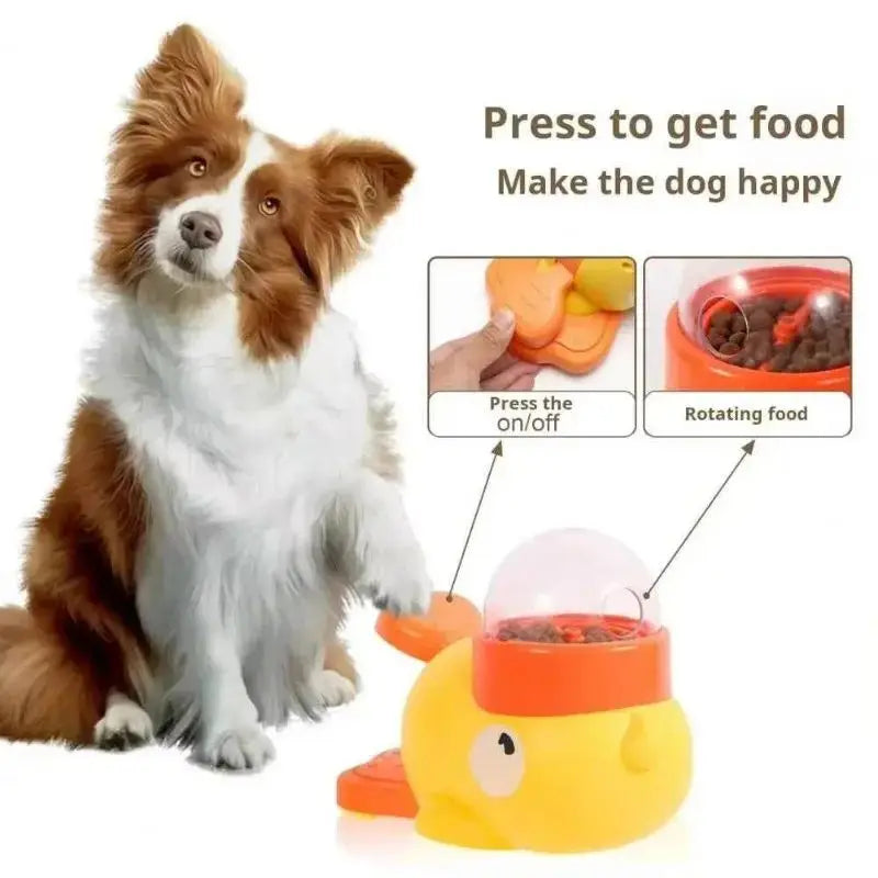 Pet Food Supplies For Dogs