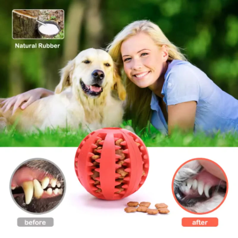 Interactive Dog Food Ball