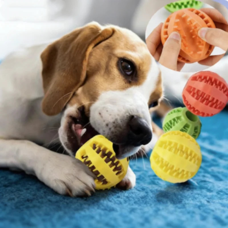 Interactive Dog Food Ball
