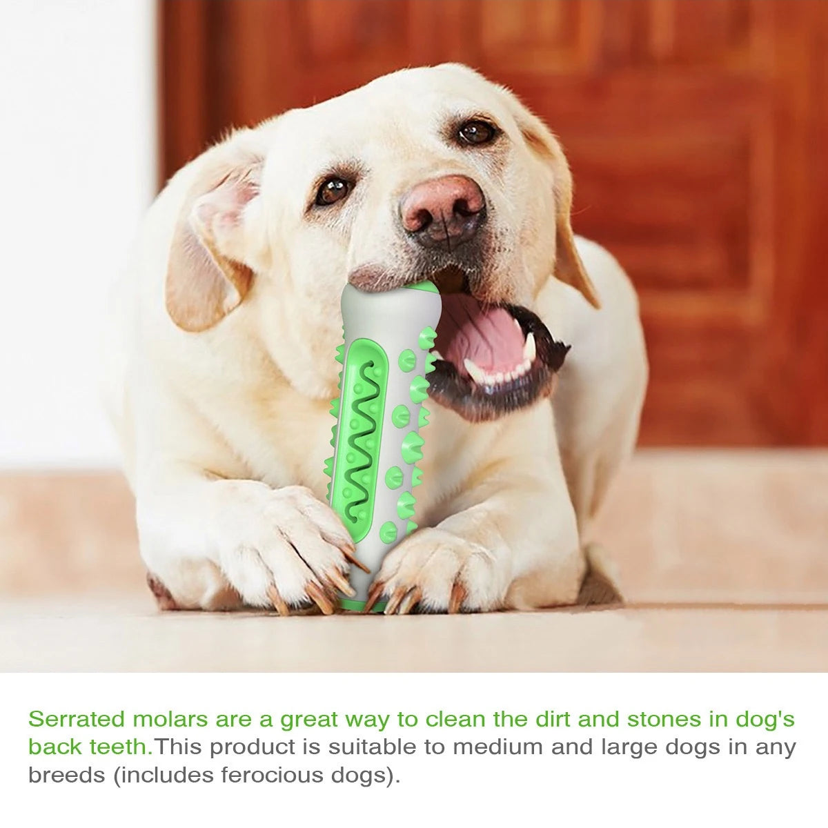 360° Silicone Dog Toothbrush