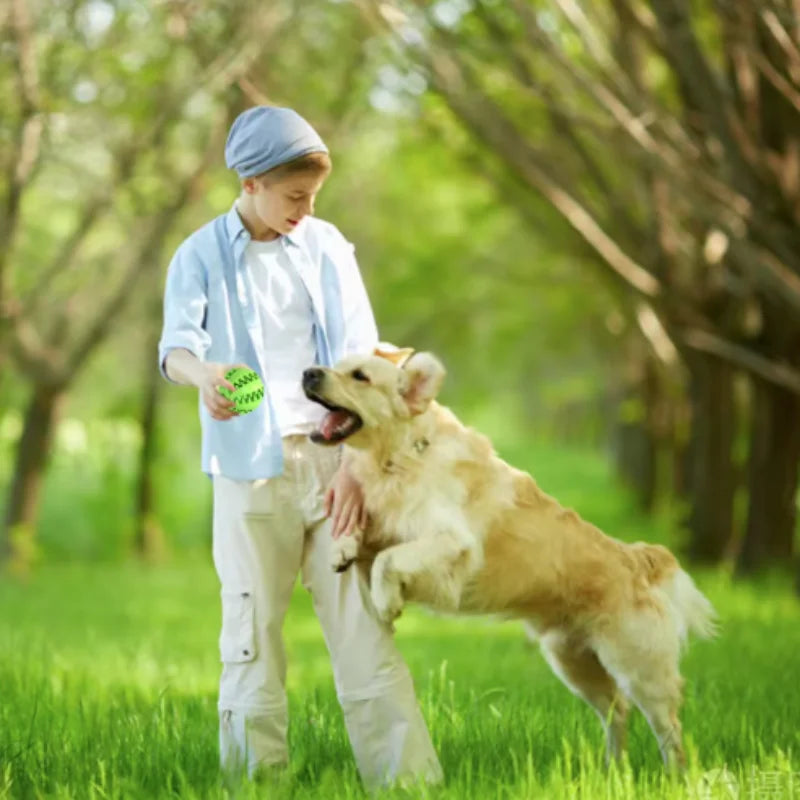 Interactive Dog Food Ball
